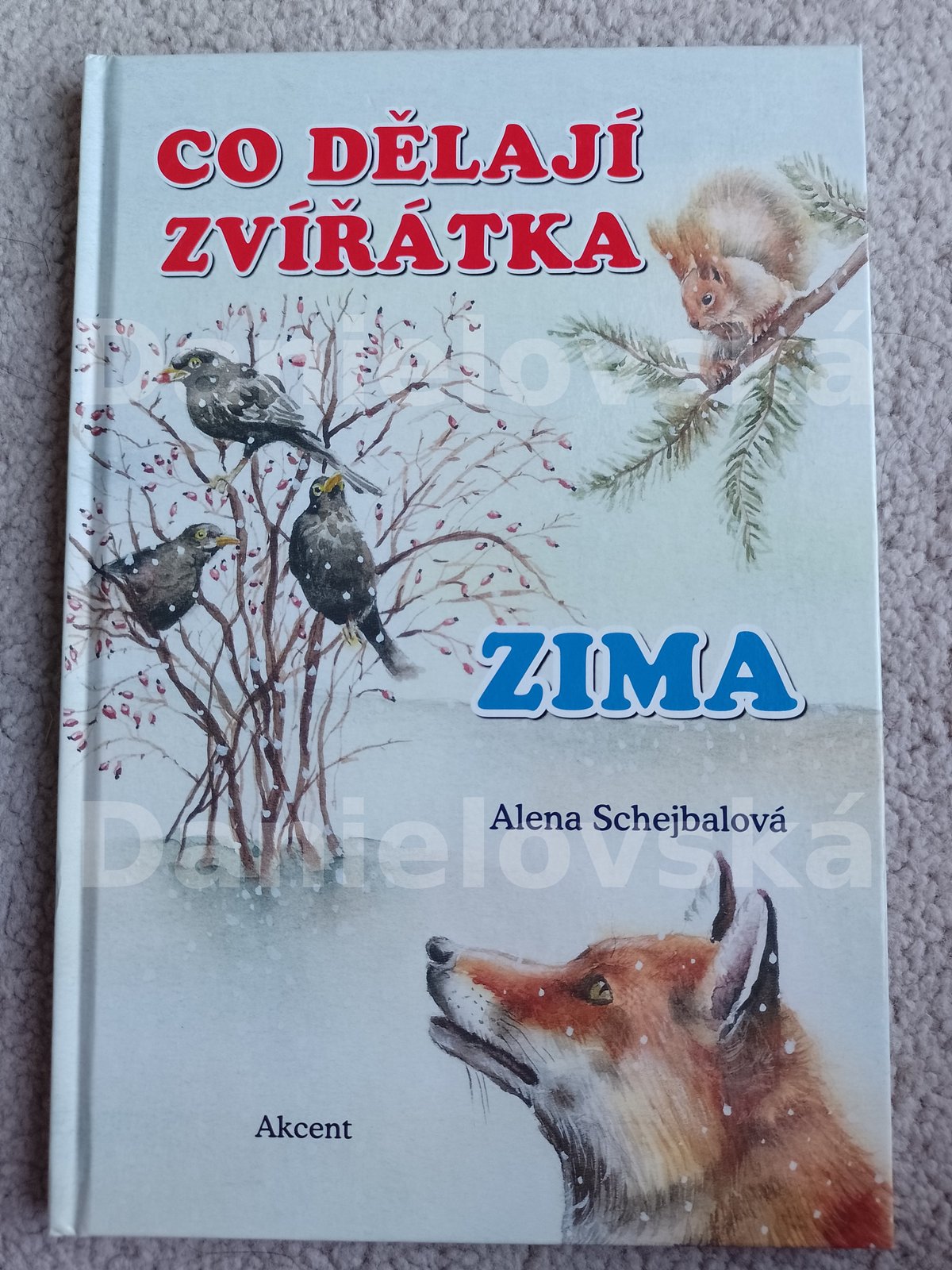Co dělají zvířátka - zima - obálka