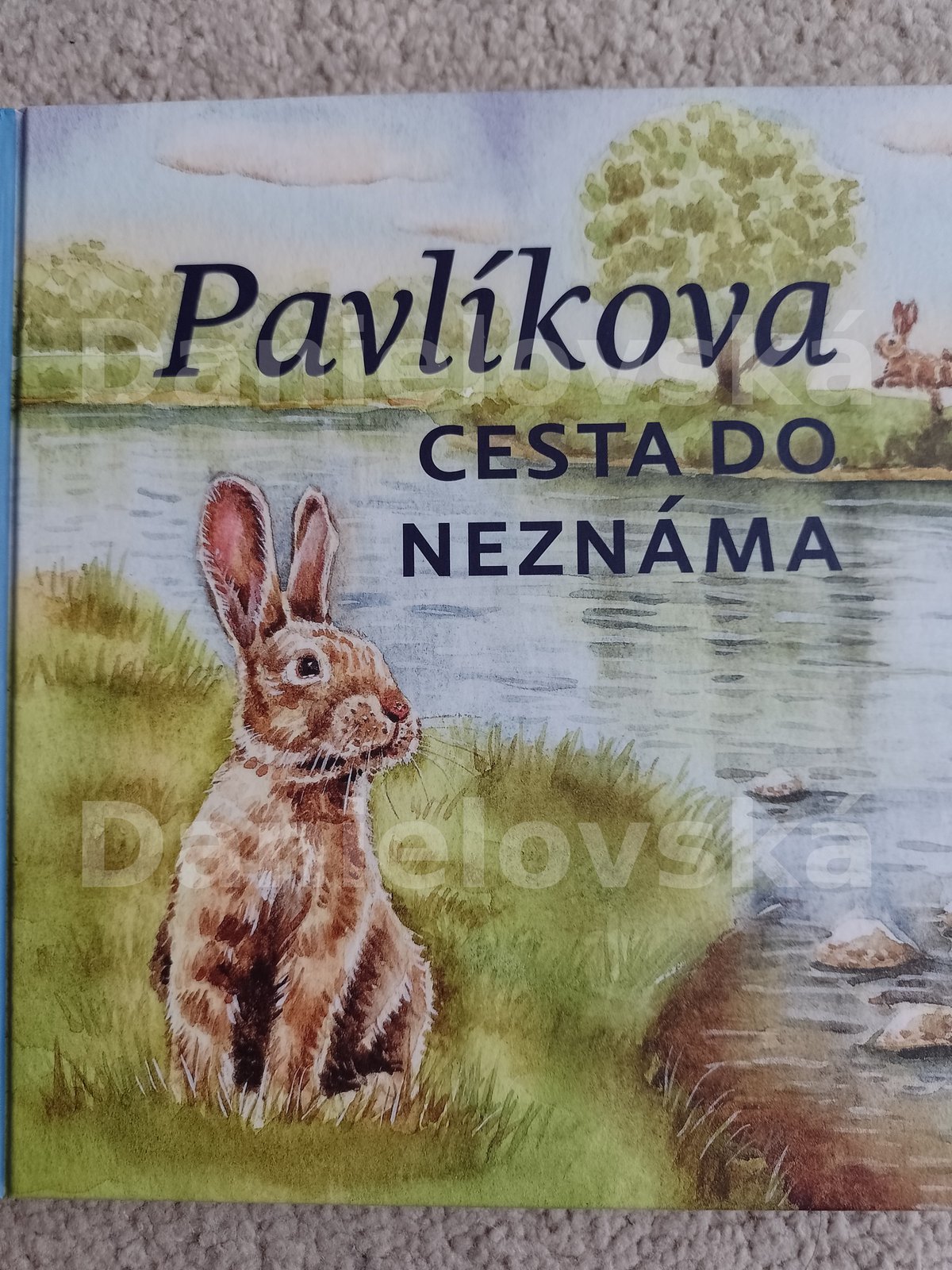 Pavlíkova cesta do neznáma - na cestě