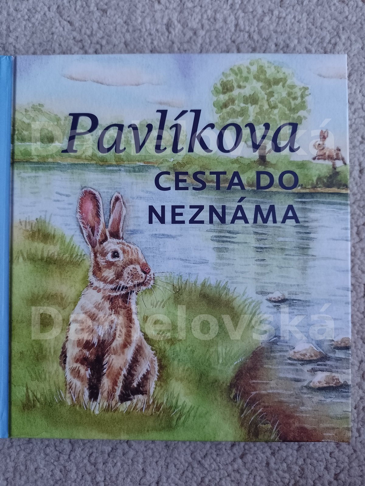 Pavlíkova cesta do neznáma - obálka