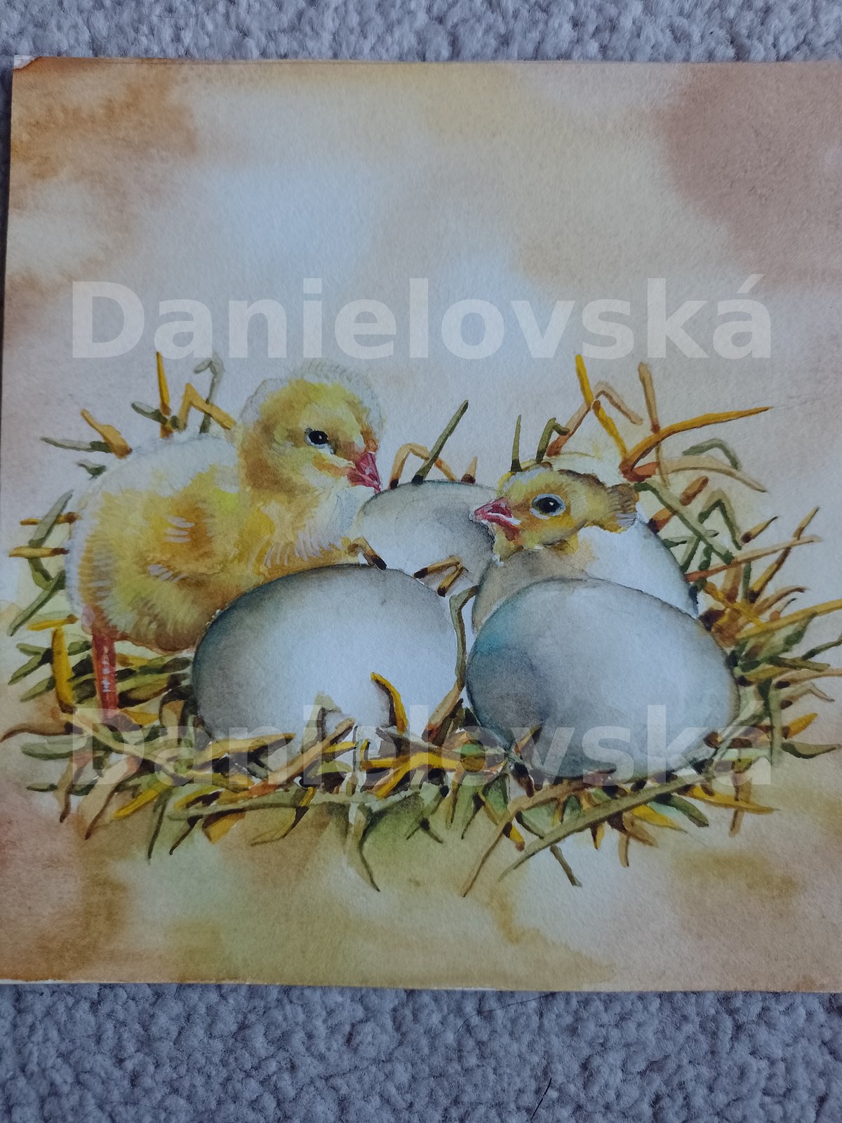 Zvídavé příběhy o zvířátkách - kurátka