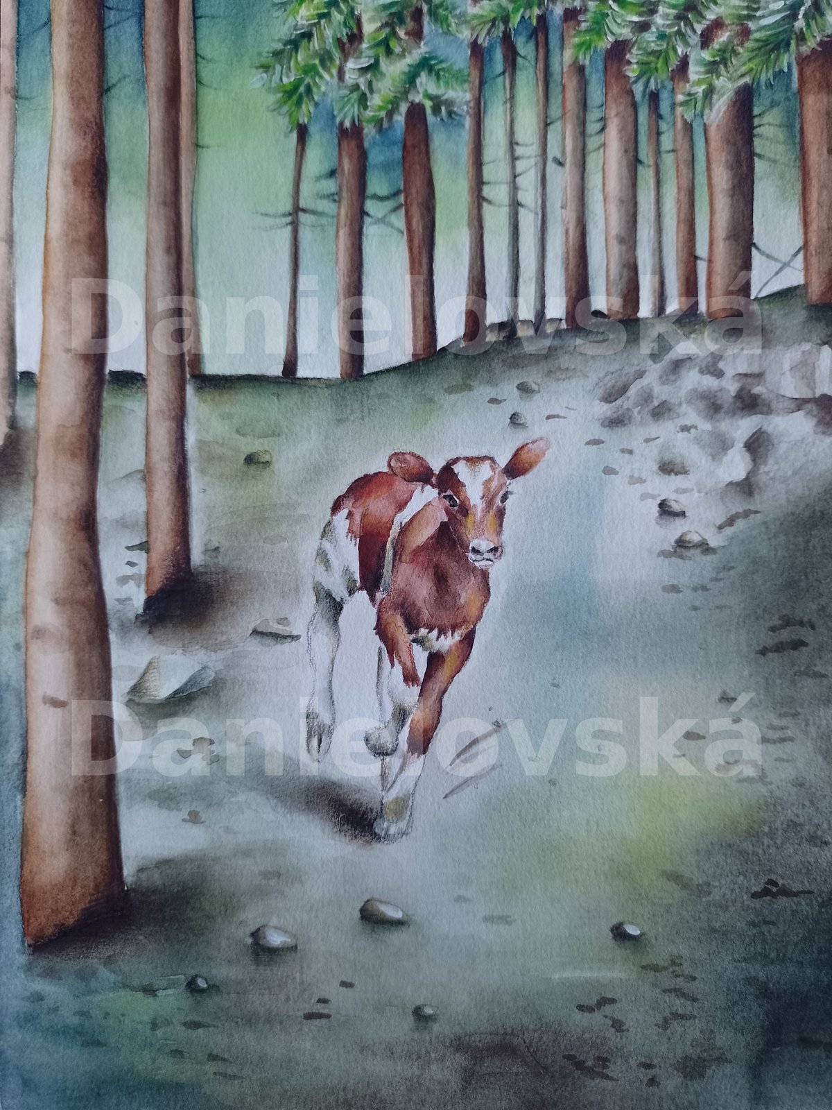 Zvídavé příběhy o zvířátkách - telátko